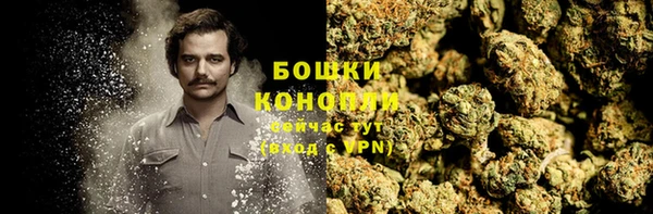 ешки Алексин