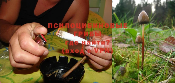 ешки Алзамай